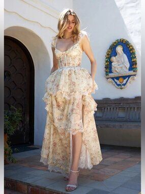 NWOT Revolve Jolie Gown V. Chapman in Carmel Valley Rose SOLD OUT SIZE 6